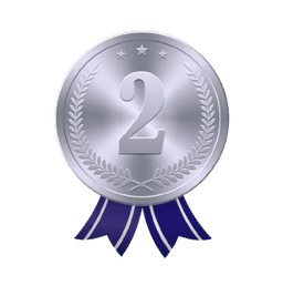 Second Prize